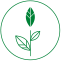 Plant-Based-Icon-1