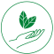 Plant-Based-Icon-2